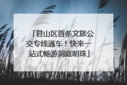 君山区首条文旅公交专线通车！快来一站式畅游洞庭明珠