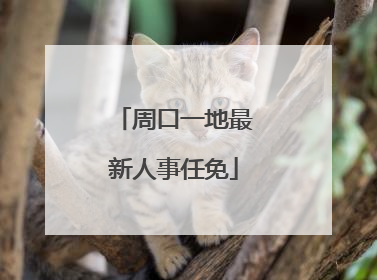 周口一地最新人事任免