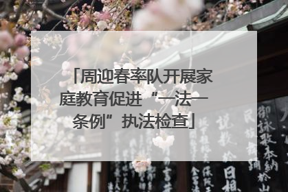周迎春率队开展家庭教育促进“一法一条例”执法检查