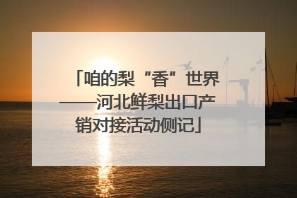 咱的梨“香”世界——河北鲜梨出口产销对接活动侧记