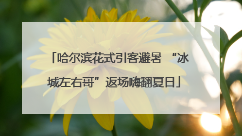 哈尔滨花式引客避暑 “冰城左右哥”返场嗨翻夏日