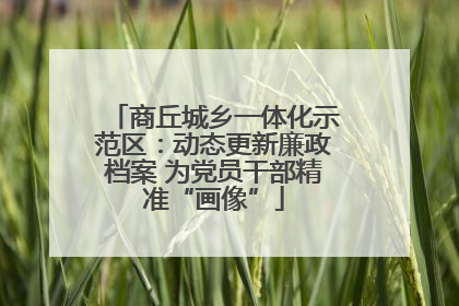 商丘城乡一体化示范区：动态更新廉政档案 为党员干部精准“画像”