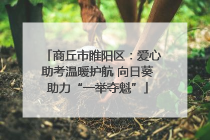 商丘市睢阳区：爱心助考温暖护航 向日葵助力“一举夺魁”