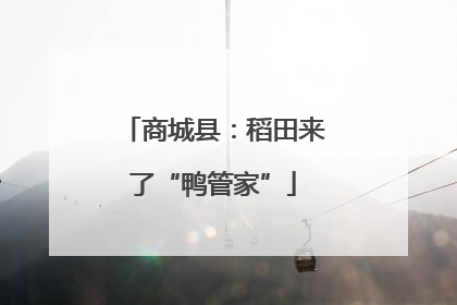 商城县：稻田来了“鸭管家”