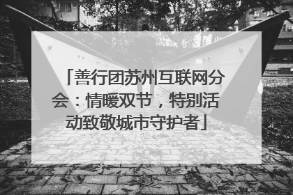 善行团苏州互联网分会：情暖双节，特别活动致敬城市守护者