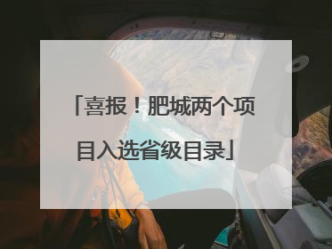 喜报！肥城两个项目入选省级目录