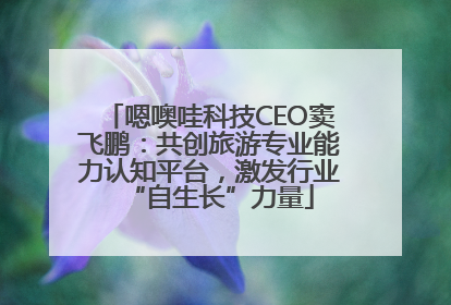 嗯噢哇科技CEO窦飞鹏：共创旅游专业能力认知平台，激发行业“自生长”力量