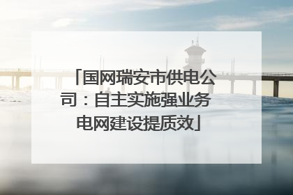 国网瑞安市供电公司：自主实施强业务 电网建设提质效