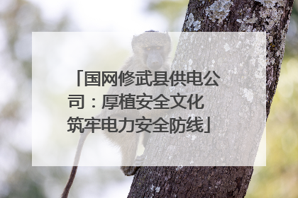 国网修武县供电公司：厚植安全文化 筑牢电力安全防线