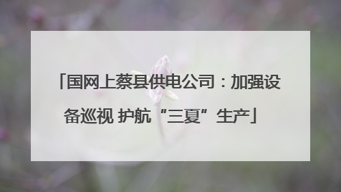 国网上蔡县供电公司：加强设备巡视 护航“三夏”生产
