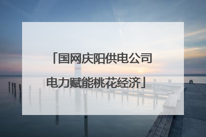 国网庆阳供电公司电力赋能桃花经济