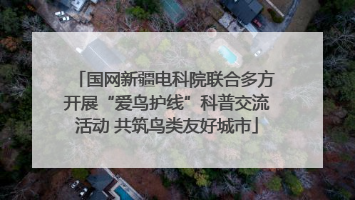国网新疆电科院联合多方开展“爱鸟护线”科普交流活动 共筑鸟类友好城市