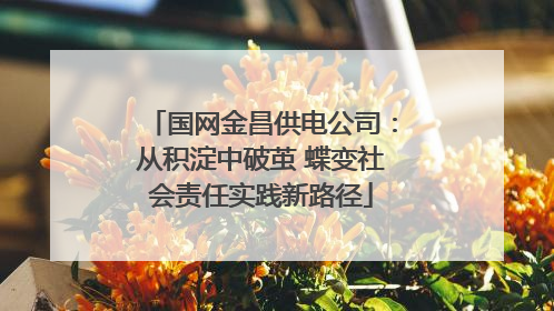 国网金昌供电公司：从积淀中破茧 蝶变社会责任实践新路径