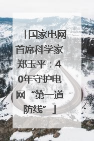 国家电网首席科学家郑玉平：40年守护电网“第一道防线”