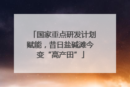 国家重点研发计划赋能，昔日盐碱滩今变“高产田”