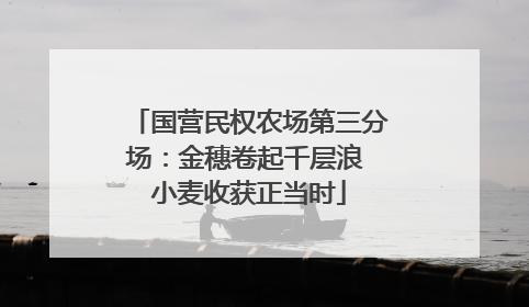 国营民权农场第三分场：金穗卷起千层浪 小麦收获正当时
