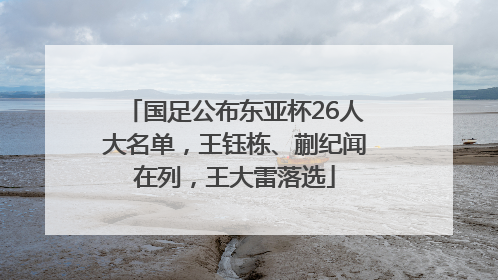 国足公布东亚杯26人大名单，王钰栋、蒯纪闻在列，王大雷落选