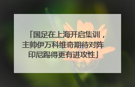 国足在上海开启集训，主帅伊万科维奇期待对阵印尼踢得更有进攻性