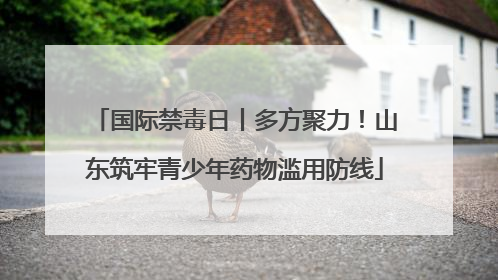 国际禁毒日丨多方聚力！山东筑牢青少年药物滥用防线