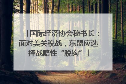 国际经济协会秘书长：面对美关税战，东盟应选择战略性“脱钩”