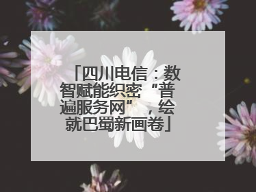 四川电信：数智赋能织密“普遍服务网”，绘就巴蜀新画卷