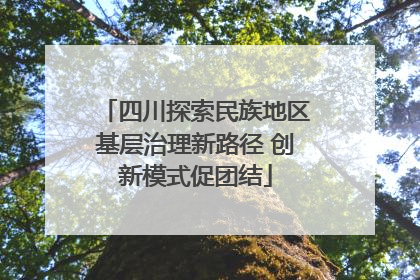四川探索民族地区基层治理新路径 创新模式促团结