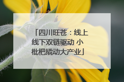 四川旺苍：线上线下双链驱动 小枇杷撬动大产业