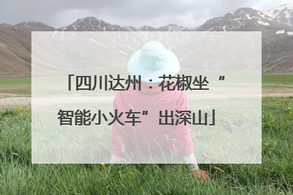 四川达州：花椒坐“智能小火车”出深山