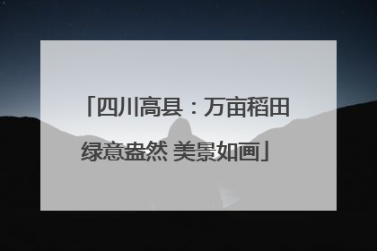 四川高县：万亩稻田绿意盎然 美景如画
