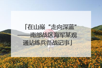 在山巅“走向深蓝”——南部战区海军某观通站练兵备战记事