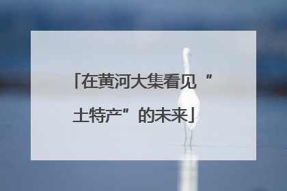 在黄河大集看见“土特产”的未来