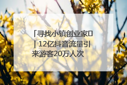 寻找小镇创业家㊱｜12亿抖音流量引来游客20万人次 “襄阳许三多”爆改家乡打造网红村
