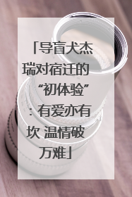 导盲犬杰瑞对宿迁的“初体验”：有爱亦有坎 温情破万难
