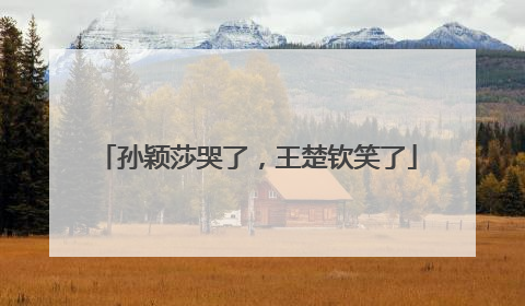 孙颖莎哭了，王楚钦笑了