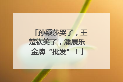 孙颖莎哭了，王楚钦笑了，潘展乐金牌“批发”！