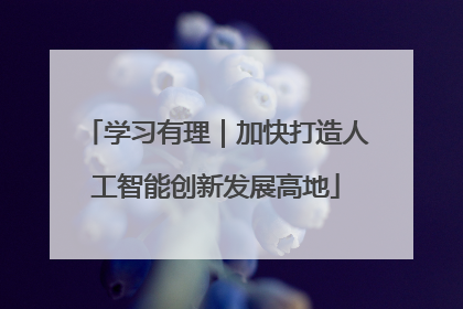 学习有理｜加快打造人工智能创新发展高地