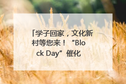 学子回家，文化新村等您来！“Block Day”催化学院式街区新生态