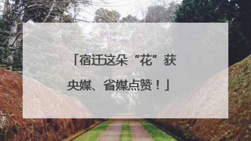 宿迁这朵“花”获央媒、省媒点赞！
