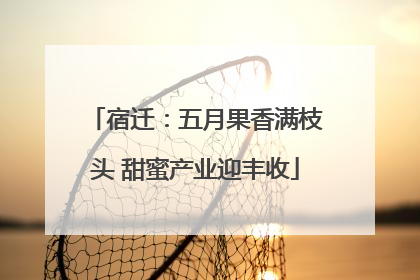 宿迁：五月果香满枝头 甜蜜产业迎丰收