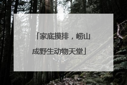 家底摸排，崂山成野生动物天堂