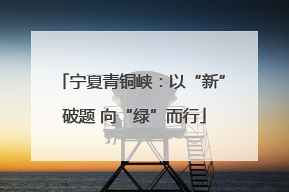 宁夏青铜峡：以“新”破题 向“绿”而行
