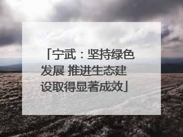 宁武：坚持绿色发展 推进生态建设取得显著成效