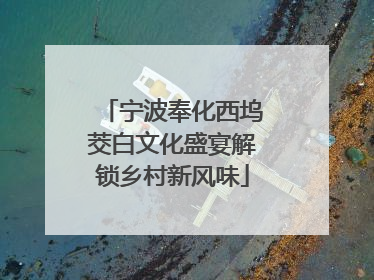 宁波奉化西坞茭白文化盛宴解锁乡村新风味