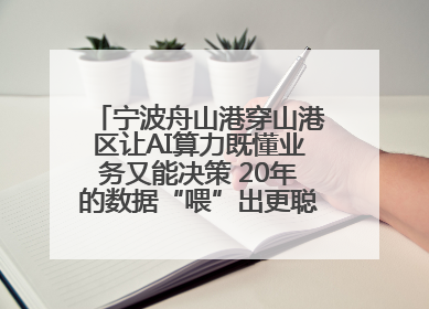 宁波舟山港穿山港区让AI算力既懂业务又能决策 20年的数据“喂”出更聪明的港口
