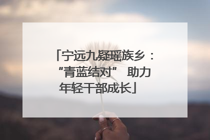 宁远九疑瑶族乡：“青蓝结对” 助力年轻干部成长