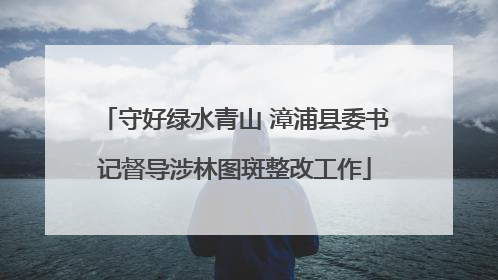 守好绿水青山 漳浦县委书记督导涉林图斑整改工作
