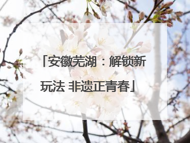 安徽芜湖：解锁新玩法 非遗正青春