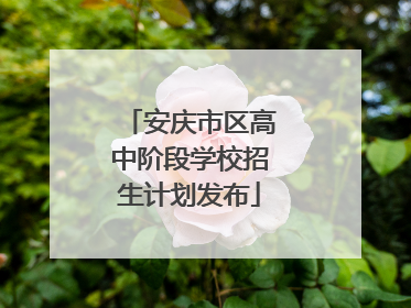 安庆市区高中阶段学校招生计划发布