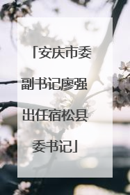 安庆市委副书记廖强出任宿松县委书记