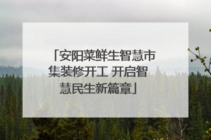 安阳菜鲜生智慧市集装修开工 开启智慧民生新篇章